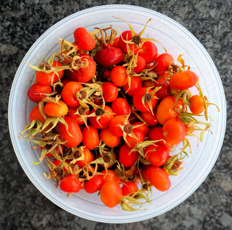 Rose Hip Jam Recipe Cuisine Fiend